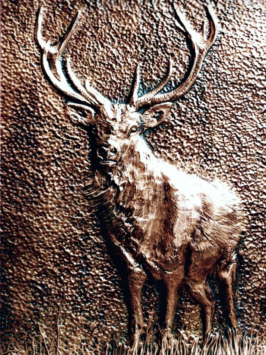 My 1st completed artwork